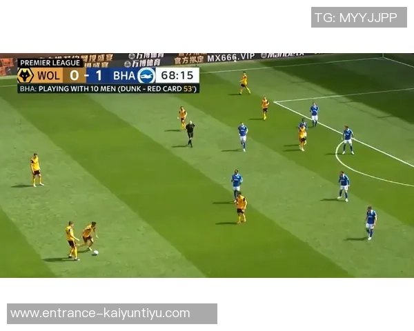 巴西与比利时精彩对决高清回顾全场比赛亮点与精彩瞬间解析